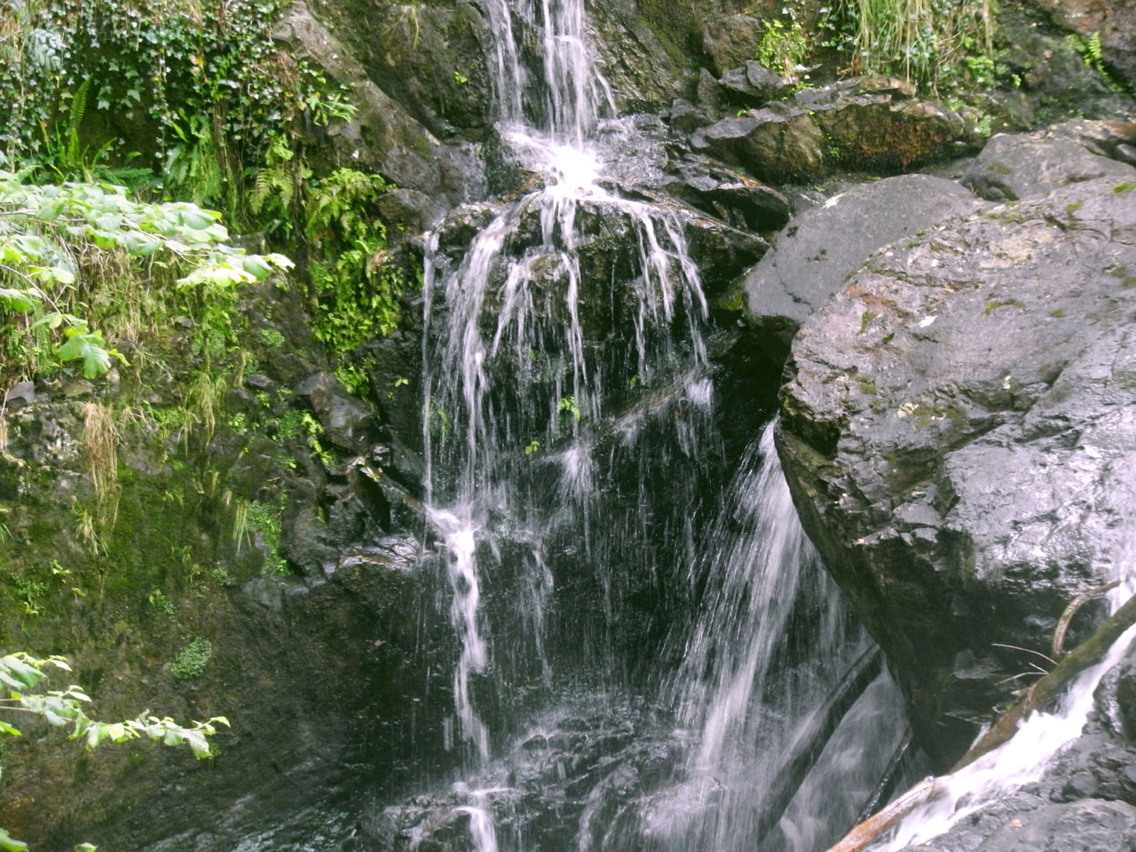 Ganllwyd, Llanelltyd